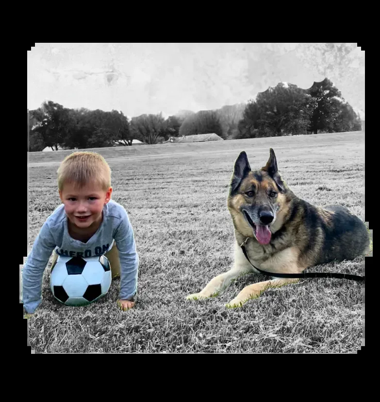 A boy kneeling with a soccer ball next to a calm long-coat shepherd lying in a grassy field